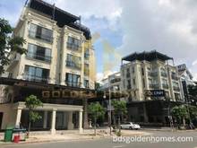 Hình ảnh Cho thuê nguyên căn nhà phố đường nội khu Mỹ Toàn, Phú mỹ hưng.