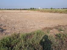 Hình ảnh Cần bán gấp lô đất xã Phú Đông, MT sông lớn có 100 m2 thổ cư, giá rẻ