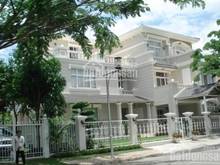 Hình ảnh Cho thuê biệt thự Hưng Thái, PMH,Q7 nhà đẹp, xinh lung linh, giá tốt