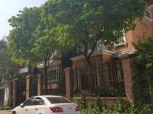 Hình ảnh biệt thự cho thuê đường trần kế xương quận phú nhuận