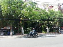Hình ảnh Cho thuê mặt bằng kinh doanh 2 tầng Huỳnh Thúc Kháng 9x15m 120tr
