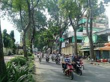 Hình ảnh cho thuê biêt thự 20x25 biet thư đẹp có sâ vườn
