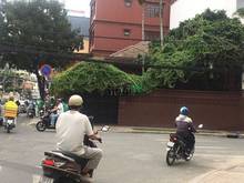 Hình ảnh Cho thuê góc 2 mặt tiền Đường Ngô Thời Nhiệm - Phường 6 - Quận 3