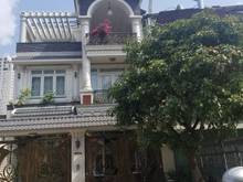 Hình ảnh cho thuê nhà đường quách văn tuấn tân bình