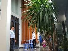 Hình ảnh cho thuê biệt thự đường trường chinh quận tân bình