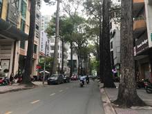 Hình ảnh Bán nhà 3MT PHẠM NGŨ LÃO (NGAY ĐỀ THÁM) 4x17m, 49 tỷ. thông tin 35-50t