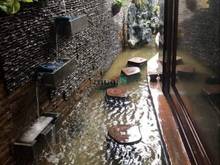 Hình ảnh cho thuê biệt thự 21/17 Nguyễn Văn Trỗi, Q. Phú Nhuận.