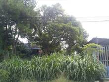 Hình ảnh Cần bán đất mặt tiền đường Bùi Thị Điệt - xã Phạm Văn Cội - Củ Chi