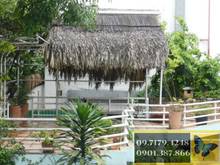 Hình ảnh Biệt thự 300 Thảo Điền, Khu phố 2, Thảo Điền, quận 2