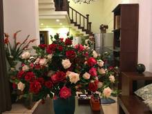 Hình ảnh CHo Thuê Villa Quận 2 Đường Nguyễn DUy Hiệu , Hướng Nam - Quận 2 . Giá