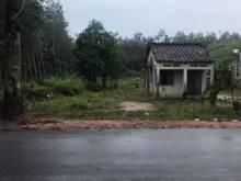 Hình ảnh Cần bán đất mặt tiền đường Bà Thiên - xã Nhuận Đức - Củ Chi