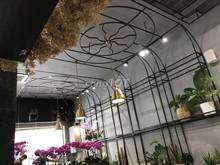 Hình ảnh Cho thuê nhà nguyên căn mặt tiền Sư Vạn Hạnh , Phường 9 , Quận 10