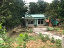 Hình ảnh Cần bán nhà mặt tiền đường Nguyễn Thị Rành - xã Phú Mỹ Hưng - Củ Chi