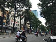 Hình ảnh Office MT Phạm Ngọc Thạch, Quận 3, 15.6x31m, giá 250 tỷ