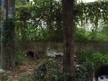 Hình ảnh Bán nhà MT Vành Đai Trong, P. Bình Trị Đông B, 4 x 25m, cấp 4, 13,5 tỷ