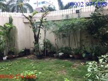 Hình ảnh cho thuê nhà nguyên căn 10pn10wc