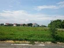 Hình ảnh Cho thuê  Đất Xuân Thủy Thảo Điền Diện tích: 650m2