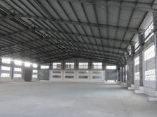 Hình ảnh Cho thuê Kho,Xưởng Bờ Bao Tân Thắng,Tân Phú,DTSD:500M,40TR