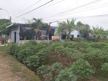 Hình ảnh Cần bán đất mặt tiền Trình Thị Gắt - Củ Chi - thích hợp phân lô