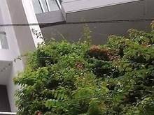 Hình ảnh Bán nhà mt đường gần  Nguyễn Trãi, P Bến Thành, Quận 1, 3 lầu HĐ thuê