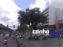 Hình ảnh Cho thuê nhà vị trí đắc địa góc 2 MT Trường Chinh phường 14 TB 25x20m