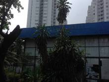 Hình ảnh Đất vàng 3200m2 giá TL 220 tỷ cực hiếm, P11 Quận 6.