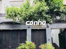 Hình ảnh Biệt thự cho thuê đường Nguyễn Thái Bình, phường 12, Tân Bình | Có Nhà