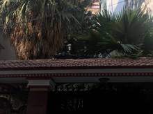 Hình ảnh biệt thự sân vườn cho thuê đường thăng long quận Tân Bình 6,5x27m