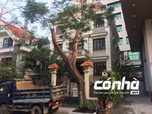 Hình ảnh Cho thuê nhà nguyên căn đường Phan Đình Giót phường 2 Quận Tân Bình