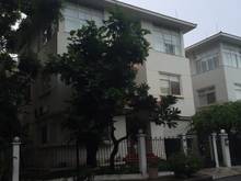 Hình ảnh Cho thuê biệt thự song lập cao cấp khu Mỹ Kim 2, Phú Mỹ Hưng nhà mới