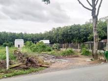 Hình ảnh Cần bán đất mặt tiền đường Bùi Thị Điệt - xã Phạm Văn Cội - Củ Chi