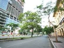 Hình ảnh Bán tòa nhà Nguyễn Văn Trỗi-Lê Quý Đôn hầm 10L có HĐ thuê 330tr/ thang