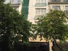 Hình ảnh Nguyên căn nhà phố khu Hưng Phước, Phú Mỹ Hưng 5 lầu 8 PN cần cho thuê
