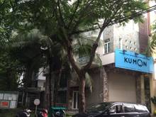 Hình ảnh Cho thuê nhà phố khu Hưng Phước, Phú Mỹ Hưng kinh doanh mọi ngành nghề