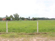 Hình ảnh Cần bán đất 3 mặt tiền xã Trung Lập Thượng - Củ Chi