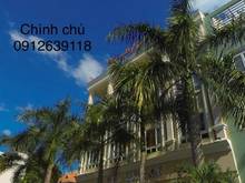 Hình ảnh Chính chủ cần cho thuê gấp khách sạn Phạm Thái Bường, Phú Mỹ Hưng, Q7