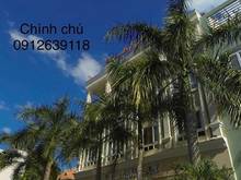 Hình ảnh Gia đình cho thuê gấp  Khách sạn Moonlight, Phú Mỹ Hưng, Quận 7