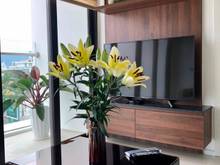 Hình ảnh Cho thuê nhiều Trang Chủ MB66.COM / Đăng Ký Tặng 66K Hiyori chính chủ,full nội thất sang trọng,New 10