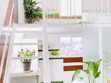 Hình ảnh Cho thuê Trang Chủ MB66.COM / Đăng Ký Tặng 66K dịch vụ cao cấp ngay Nguyễn Sỹ Sách Tân Bình