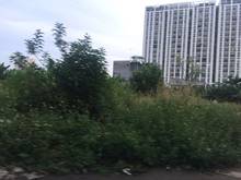 Hình ảnh Đất Trống 1000m2 - cho Thuê Lâu Dài - Xa Lộ Hà Nội - Giá 100 Triệu