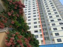 Hình ảnh Cho thuê 14 Trang Chủ MB66.COM / Đăng Ký Tặng 66K Homyland Riverside, Q.2. DT 2PN - 3PN. Giá 9tr