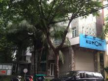 Hình ảnh Mới! Cho thuê nguyên căn spa có thang máy khu Hưng Gia 4, Phú Mỹ Hưng