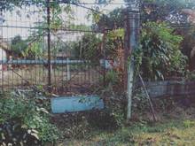 Hình ảnh Cần bán đất xã Tân An Hội - Củ Chi