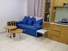 Hình ảnh Cho thuê rẻ Trang Chủ MB66.COM / Đăng Ký Tặng 66K 8X Đầm Sen: 48m2, 1PN, 1WC, Full NT, giá: 6.5tr/th.