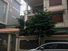 Hình ảnh cho thuê nhà 1 trệt 2 lầu Huỳnh Lan Khanh diện tích 15x16m