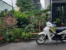 Hình ảnh Cần bán đất mặt tiền đường Nhựa - xã Tân Thông Hội - Củ Chi