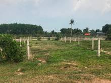 Hình ảnh Cần bán đất xã Trung Lập Hạ - Củ Chi