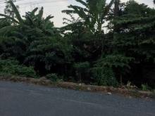 Hình ảnh Cần bán đất mặt tiền đường Tam Tân - xã Tân An Hội - Củ Chi