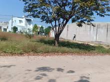 Hình ảnh Nuôi heo ở kiên giang bị dịch bệnh lỗ vốn cần bán đất gấp trong tháng