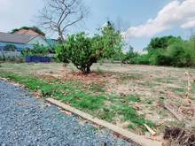 Hình ảnh Bán đất khu dân cư xã Phú Đông 1434m2 đường ô tô giá 7,5 tr/m2